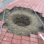 plantare arbori piata libertatii