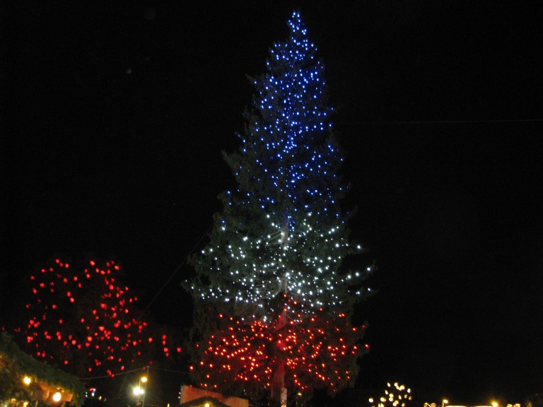 Viena onorează Franța