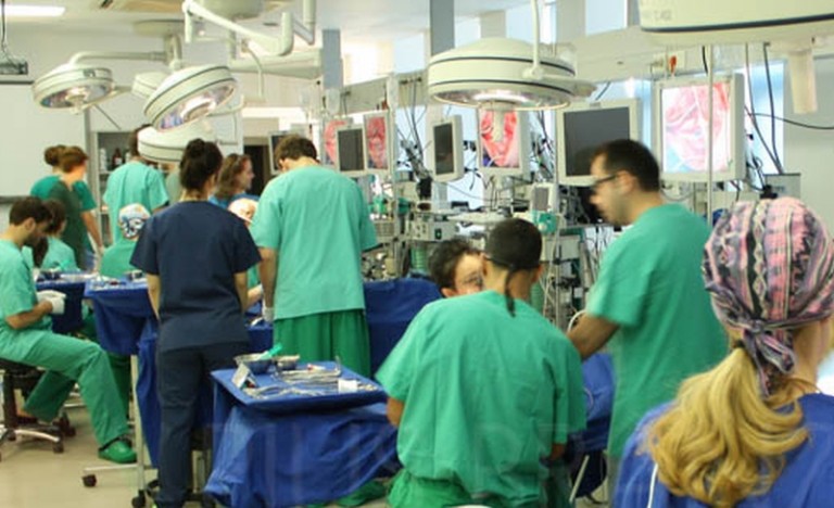 La Timişoara, porcul de Crăciun salvează vieţile pacienţilor care au nevoie de reconstrucţii de ţesuturi. Cum este posibil