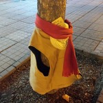 12540211_10203708857561535_289844275_n