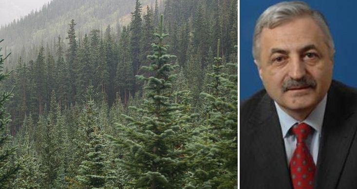 Timişoreanul Adam Crăciunescu pleacă de la conducerea Romsilva, în mijlocul unui adevărat scandal legat de lemnul din pădurile româneşti