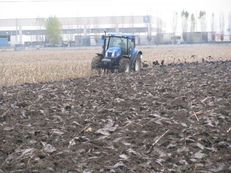 Agricultura României a scăzut cu 6,6% în ultimul an al guvernului Ponta
