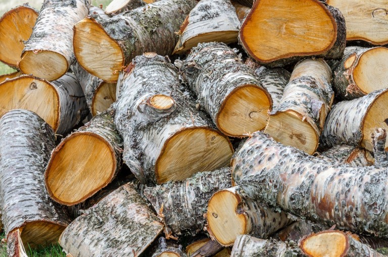 Preţul lemnelor de foc s-a dublat din cauza măsurilor cerute de Uniunea Europeană