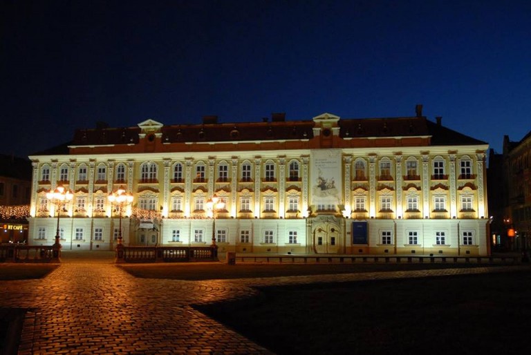 Noapte albă la Muzeul de Artă din Timișoara