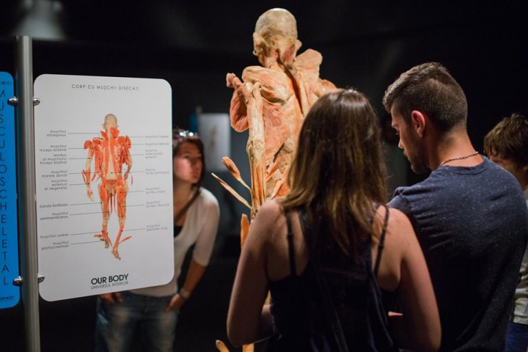 Societatea Timişoara, protest împotriva Our Body, expoziţia de cadavre găzduită la Timişoara!