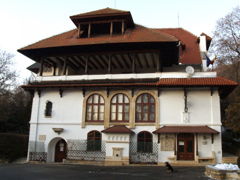 Istoria naţională scoasă pe tarabă la second hand