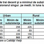 minim  subzistenta