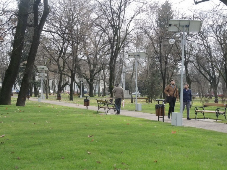 Gazonul englezesc din Parcul Justiţiei, distrus de cârtiţe-VIDEO