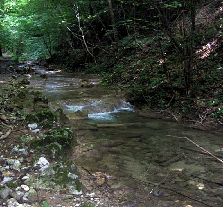 Se caută aur și în Munții Banatului! Vezi unde se mai găsește aur în România…