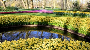Keukenhof-03