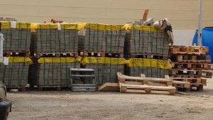 LICEUL LOGA.Still034