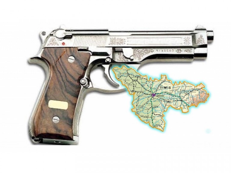 În județul Timiș există 11.551 de arme. 7.110 sunt letale!…