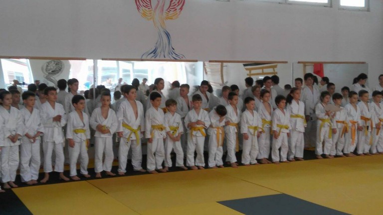 Porți deschise pentru performanță în judo-ul timișorean la ACS Judo Phoenix