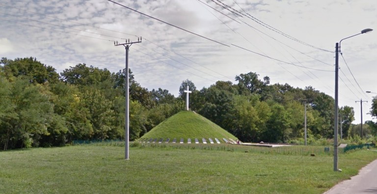 De ce trebuie să cerșească Timișoara de la stat Pădurea Verde?…