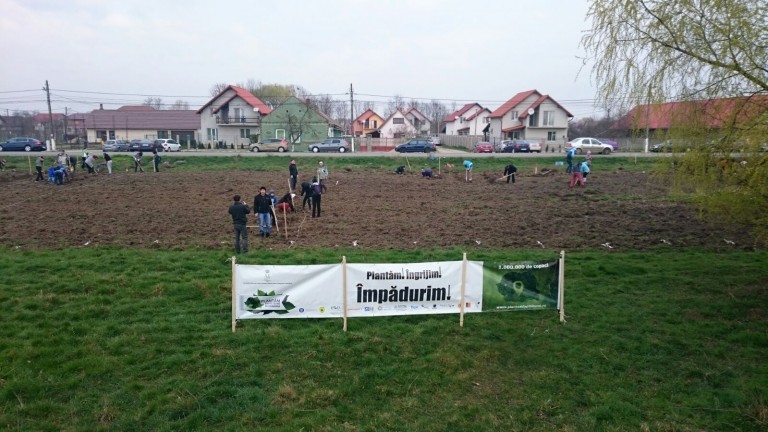 Voluntarii au plantat 10.000 de pomi la Utvin. FOTO