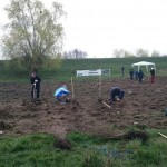 plantare copaci voluntari (9)