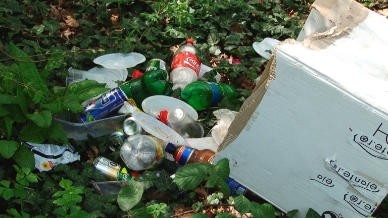 Pădurea Verde sau civilizaţia nesimţirii picnicarilor… FOTO + VIDEO