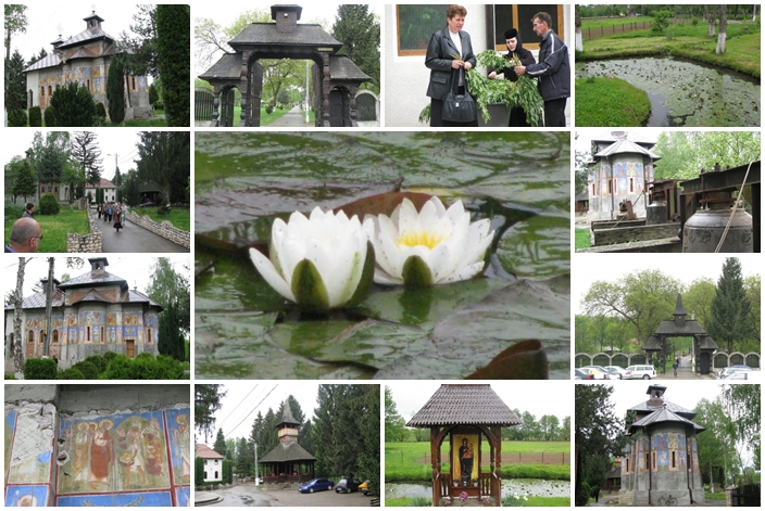 La Mănăstirea de la Româneşti, de Florii, au înflorit nuferii – FOTO
