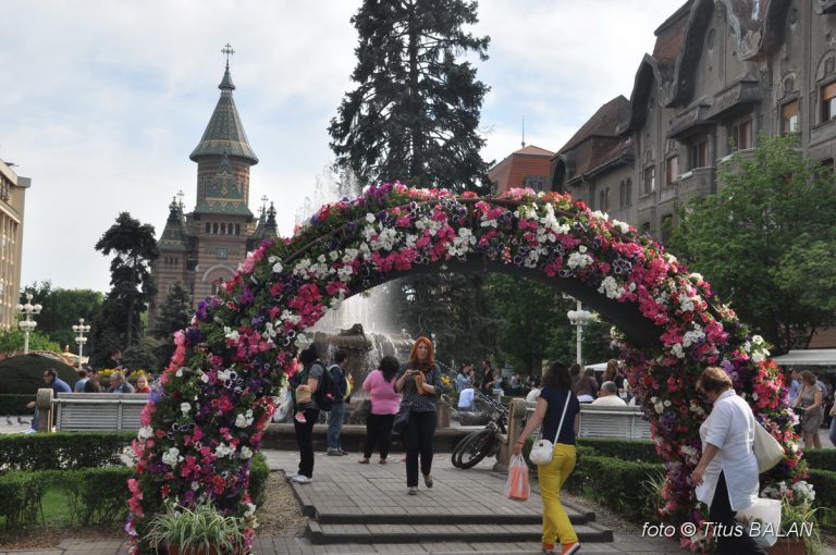 Un pod celebru din Timișoara va fi îmbrăcat în flori! Surprize peste surprize la Timfloralis, ediția 2018