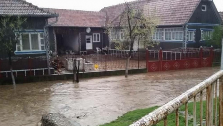 Efectele inundaţiilor din judeţul Arad: fântâni contaminate, animale luate de ape, gospodării inundate