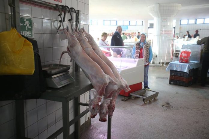 miel timisoara miel timisoara