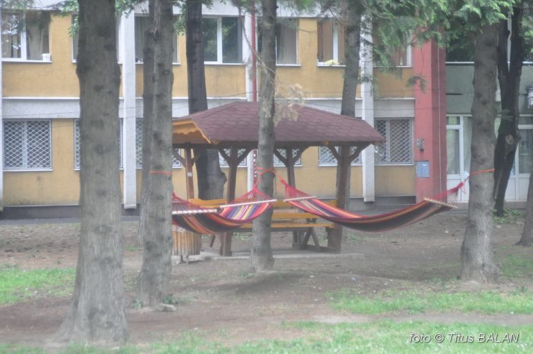 Studenţii se dau în hamac. Parcul din complex a fost inaugurat – VIDEO