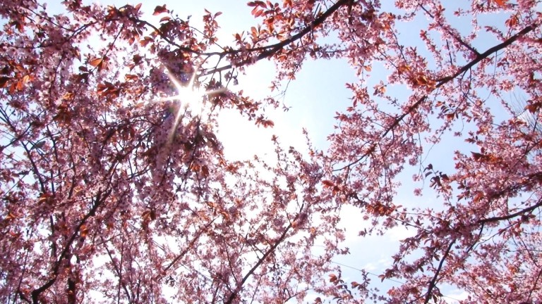 Bucuraţi-vă azi de vremea frumoasă! De mâine…