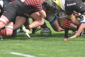 rugby saracens calvisano challenge cup_08