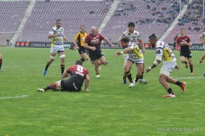 rugby saracens calvisano challenge cup_28