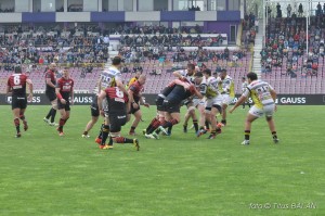 rugby saracens calvisano challenge cup_29