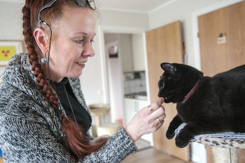 No… miau! Lumea a luat-o razna! O cercetătoare vrea să afle dacă pisicile miaună cu accent