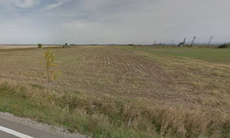 Străinii cresc preţurile terenurilor agricole din judeţul Arad