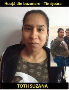 13151711_1021272411275510_3182199323340439807_n