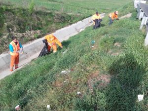 13173792_1695854770674595_1752457769840788355_n