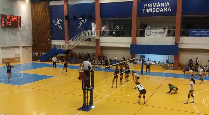 volei UVT Agroland CSU Poli
