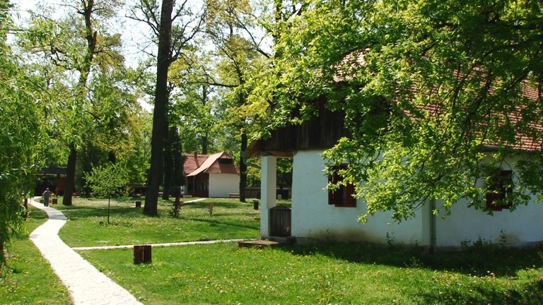 Timișorenii, invitați să simtă farmecul nocturn al satului bănățean! Ce program special au pregătit organiztorii