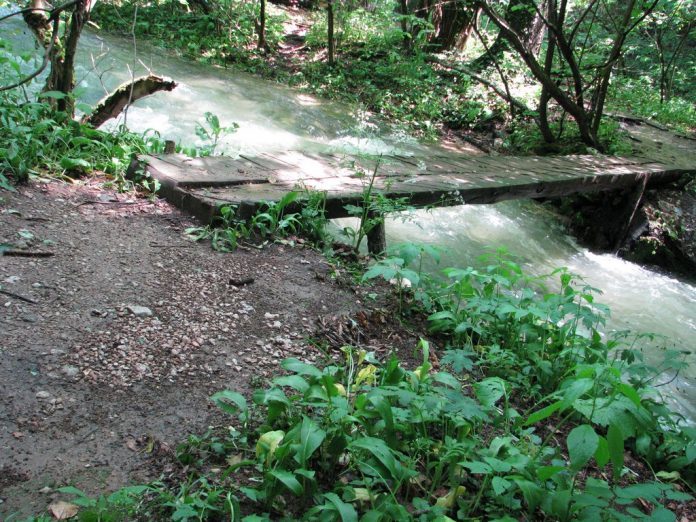 Rafting-pe-Nera-Beusnita-Ochiul-Beiului-51