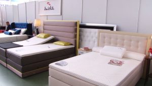 Universul Casei Tale 17