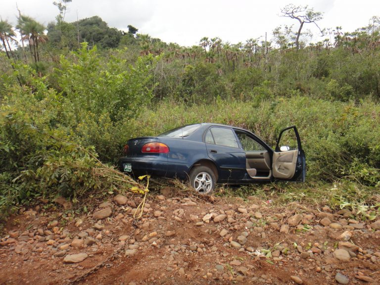 A dat ”strechea” în candidații cărășeni? Acuzații de ultraj, accidente cu dosare penale