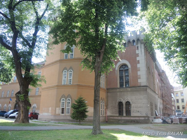 Timişoara ieri şi azi: Castelul Huniade, o pasăre Phoenix ce renaște veșnic din propriile ruine