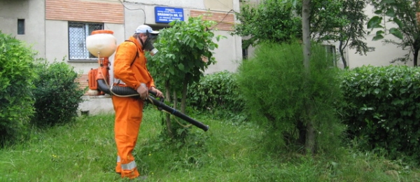 Reîncepe spălatul străzilor și se face dezinsecție, la Timișoara
