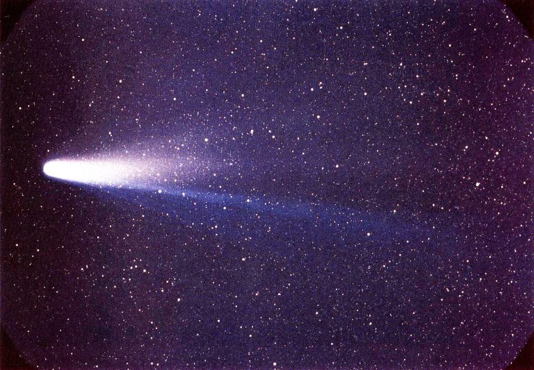Dacă e vorba să murim de cometă, la ce să le mai lăsăm pe pământul uscat?…