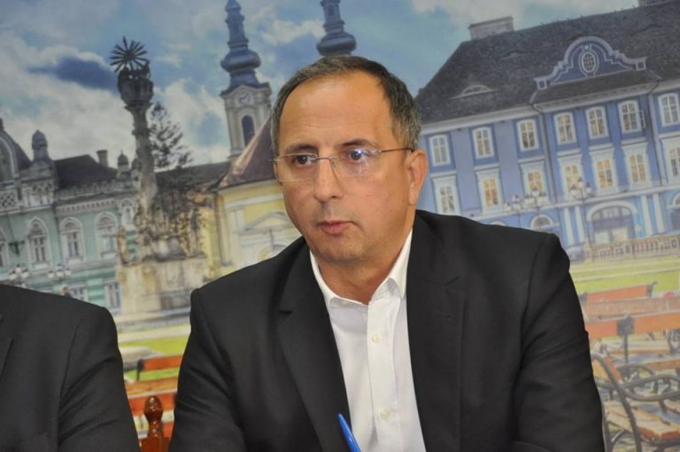 Promisiuni şi soluţii de campanie pentru paragina naţională de la Buziaş