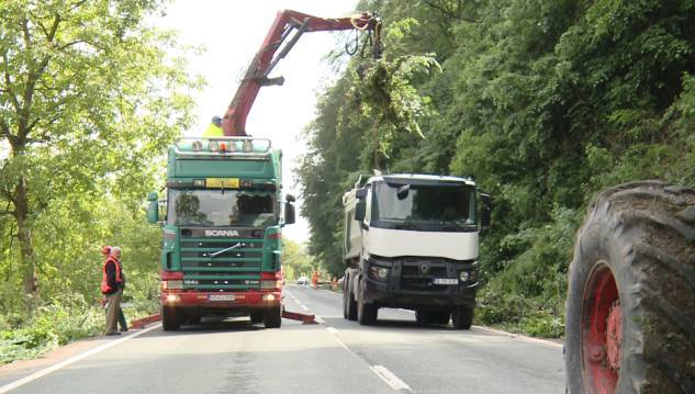 Tăierile de copaci de pe DN7, chinul şoferilor
