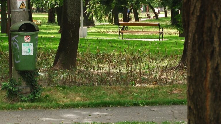 Parcul Justiției a devenit parcul bețelor de flori-VIDEO