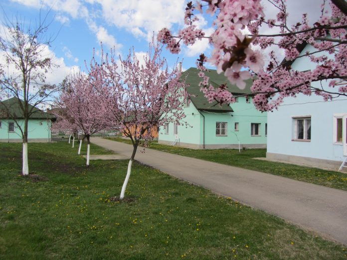 buzias centru educativ