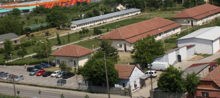 26.442 de străini au cerut protecție în România în ultimii 25 de ani. Doar 4981 au primit statut de refugiat…