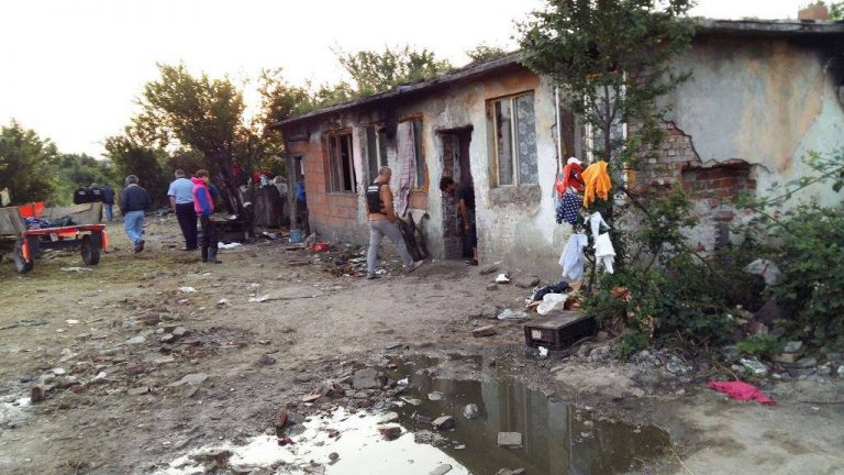 A fost stârpit încă un cuib insalubru din Timișoara FOTO