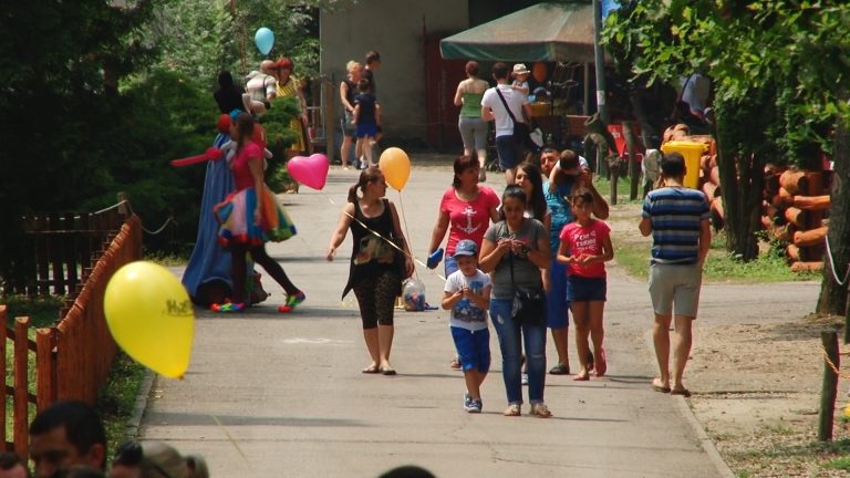 În zilele toride ale verii o grădină zoologică din Banat atrage cei mai mulți vizitatori din vestul țării! VIDEO