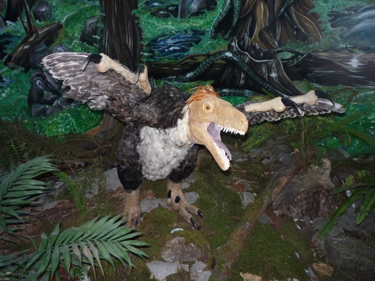Misterele dinozaurului pitic găsit aproape de Timişoara: e ungur sau român?
